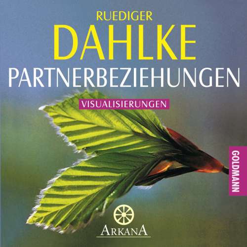 Cover von Ruediger Dahlke - Partnerbeziehungen - Visualisierungen