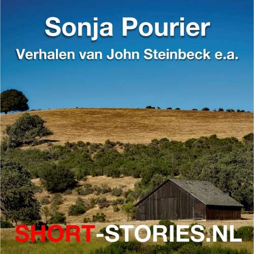 Cover von John Steinbeck - Verhalen van John Steinbeck e.a.