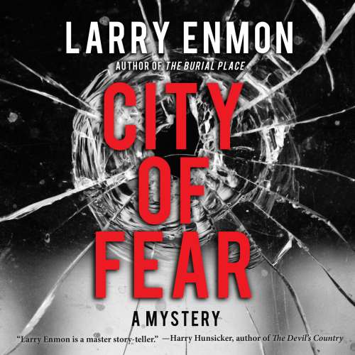 Cover von Larry Enmon - A Rob Soliz and Frank Pierce Mystery - Book - City of Fear