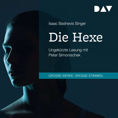 Cover von Isaac Bashevis Singer - Die Hexe