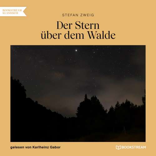 Cover von Stefan Zweig - Der Stern über dem Walde