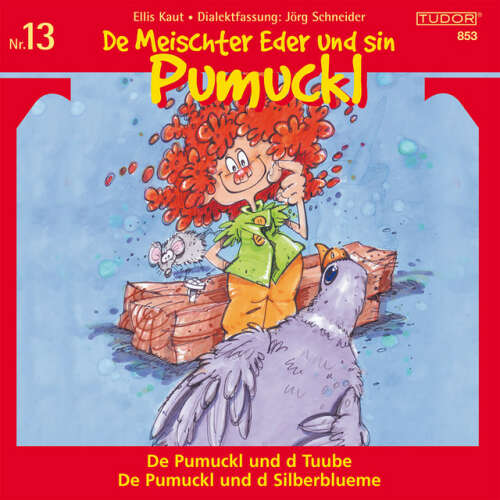 Cover von Various Artists - De Meischter Eder und sin Pumuckl, Vol. 13