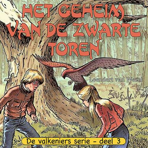 Cover von Leendert van Wezel - De Valkeniers serie - Deel 3 - Het geheim van de zwarte toren
