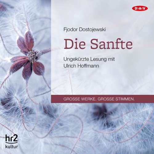 Cover von Fjodor Dostojewski - Die Sanfte