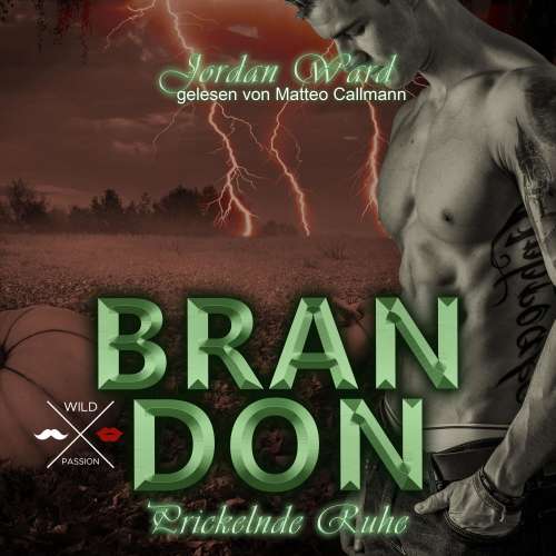 Cover von Jordan Ward - Secret Desire - Prickelnde Ruhe - Band 3 - Brandon