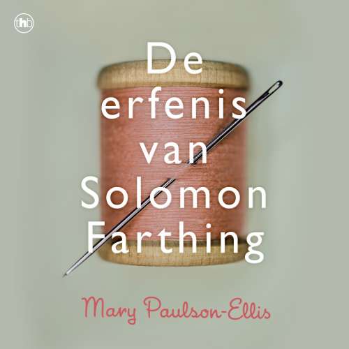 Cover von Mary Paulson-Ellis - De erfenis van Solomon Farthing