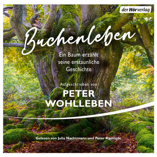 Cover von Peter Wohlleben - Buchenleben - Ein Baum erzählt seine erstaunliche Geschichte