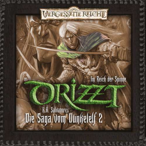 Cover von Drizzt -  Folge 2 - Im Reich der Spinne