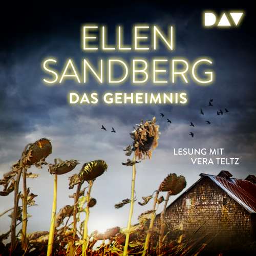 Cover von Ellen Sandberg - Das Geheimnis