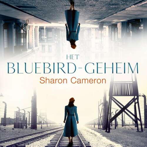 Cover von Sharon Cameron - Het Bluebird geheim