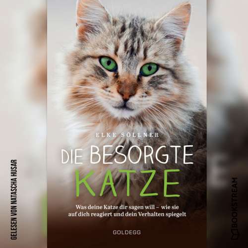 Cover von Elke Söllner - Die besorgte Katze - Was deine Katze dir sagen will - wie sie auf dich reagiert und dein Verhalten spiegelt
