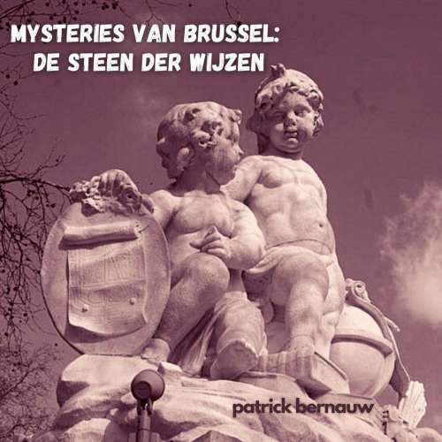 Cover von Patrick Bernauw - Mysteries van Brussel - De Steen der Wijzen