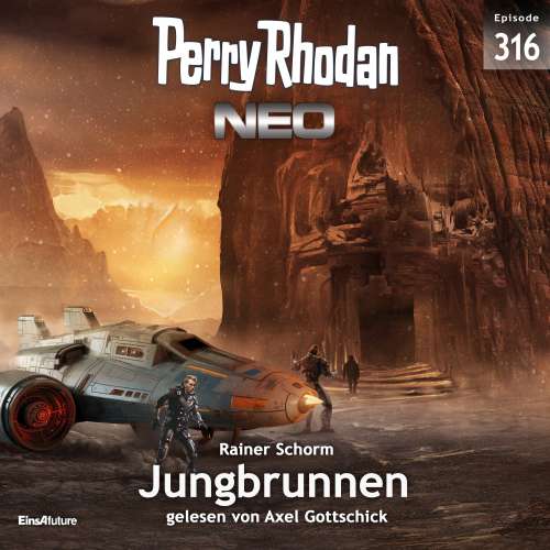 Cover von Rainer Schorm - Perry Rhodan - Neo 316 - Jungbrunnen