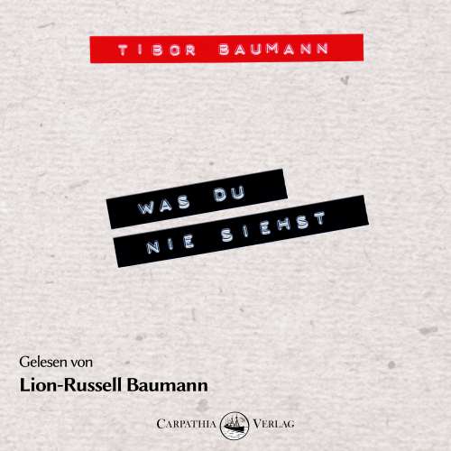 Cover von Tibor Baumann - Was du nie siehst - Ein biografischer Roman mit und über Hansi Mühlbauer