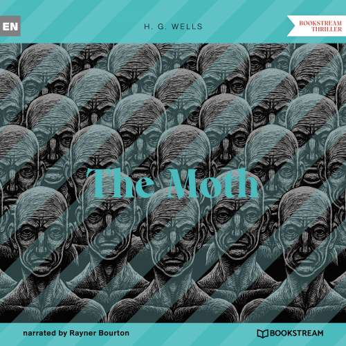 Cover von H. G. Wells - The Moth