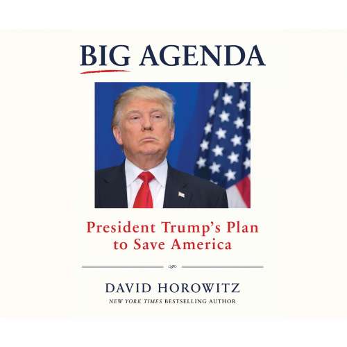 Cover von David Horowitz - Big Agenda - President Trump's Plan to Save America
