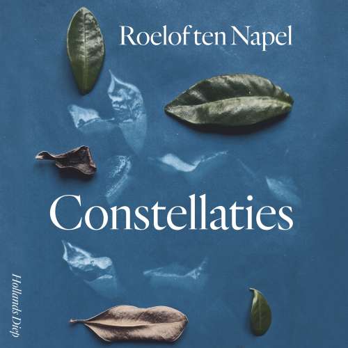 Cover von Roelof ten Napel - Constellaties