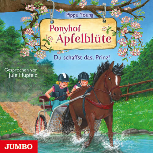 Cover von Pippa Young - Ponyhof Apfelblüte. Du schaffst das, Prinz!