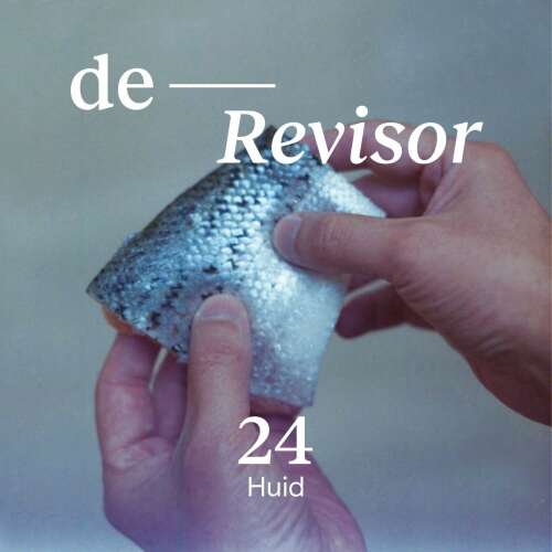 Cover von Ivo Victoria - De Revisor - Deel 24 - Huid