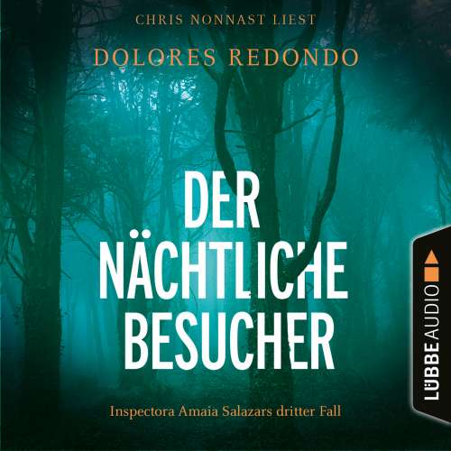 Cover von Dolores Redondo - Die Baztán-Trilogie - Teil 3 - Der nächtliche Besucher - Inspectora Amaia Salazars dritter Fall