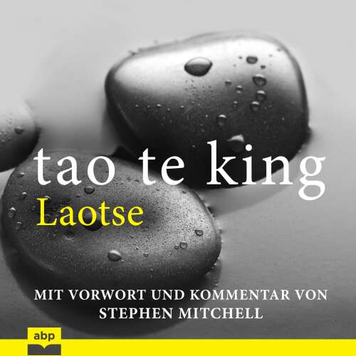 Cover von Laotse - Tao Te King - Eine zeitgemäße Version für westliche Hörer