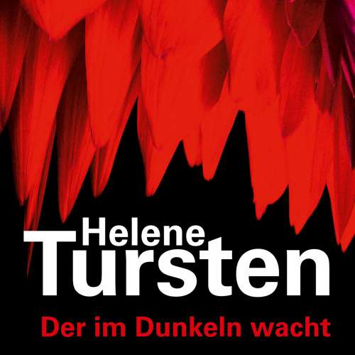 Cover von Helene Tursten - Der im Dunkeln wacht