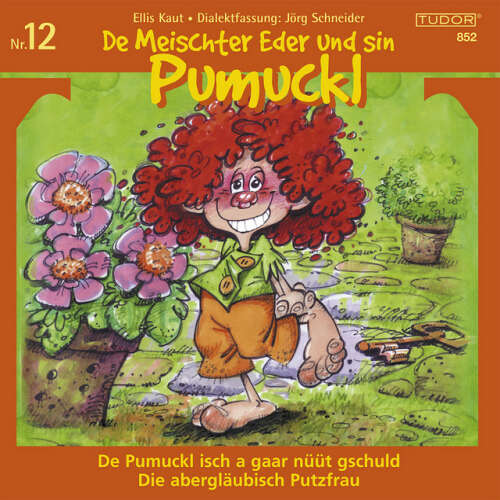 Cover von Various Artists - De Meischter Eder und sin Pumuckl, Vol. 12