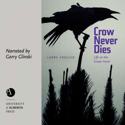 Cover von Larry Frolick - Wayfarer - Book 2 - Crow Never Dies