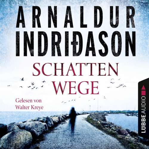 Cover von Arnaldur Indriðason - Schattenwege - Island Krimi