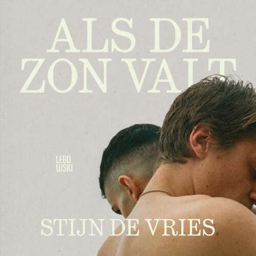 Cover von Stijn Vries - Als de zon valt