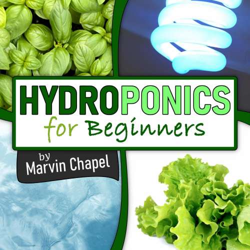 Cover von Marvin Chapel - Hydroponics for Beginners - The Complete Step by Step Guide to Self Produce your Flavorful Vegetables, Fruits and Herbs at Home, without Soil, building a Cheap Hydroponic System
