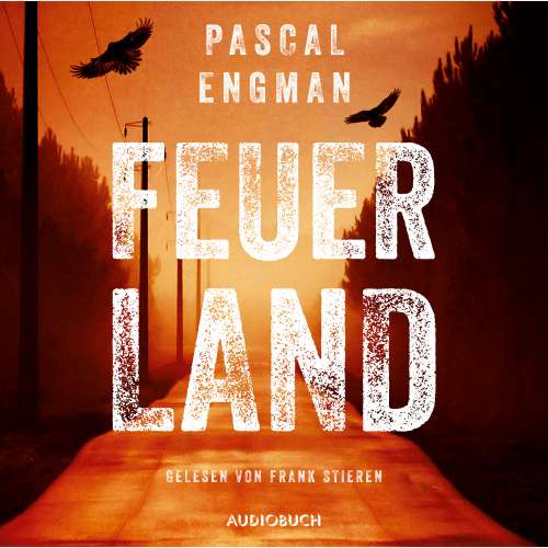 Cover von Pascal Engman - Vanessa Frank-Thriller 1 - Feuerland