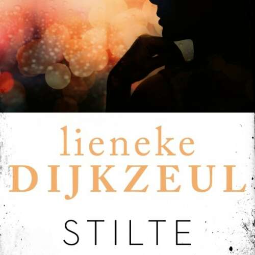 Cover von Lieneke Dijkzeul - Stilte