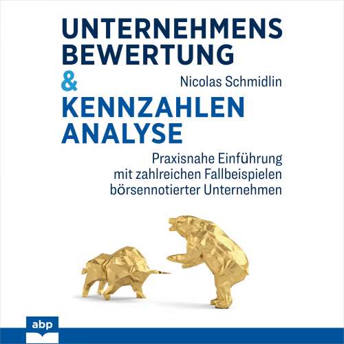 Cover von Nicolas Schmidlin - Unternehmensbewertung & Kennzahlenanalyse - Praxisnahe Einführung mit zahlreichen Fallbeispielen börsennotierter Unternehmen