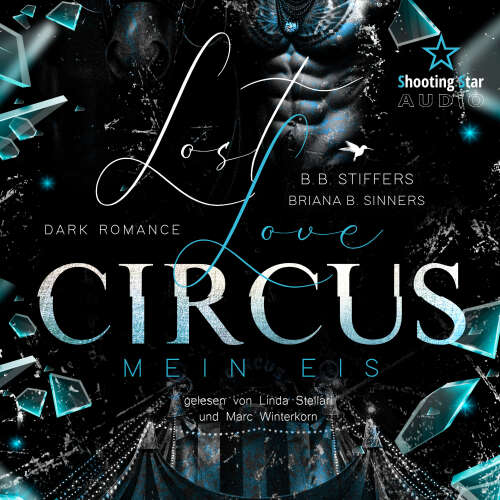 Cover - B. B. Stiffers - Dark Romance - Enemies to Lovers - Band 2 - Lost Love Circus: Mein Eis