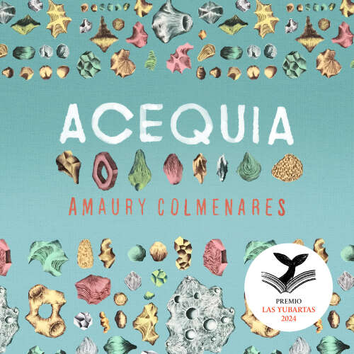 Cover - Amaury Colmenares - Acequia - Premio Hispanoamericano de Narrativa Las Yubartas 2024
