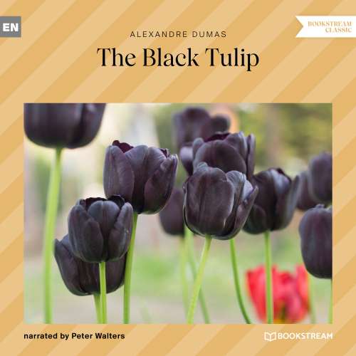 Cover von Alexandre Dumas - The Black Tulip