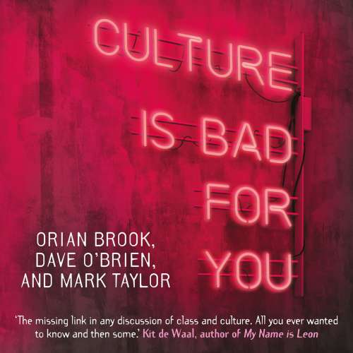 Cover von Orian Brook - Culture is bad for you - Inequality in the cultural and creative industries