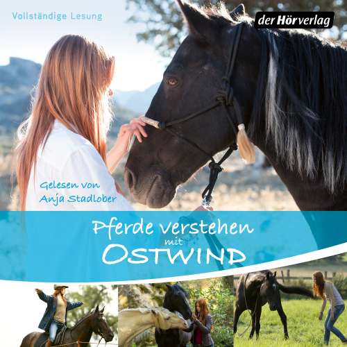 Cover von Almut Schmidt - Pferde verstehen mit Ostwind