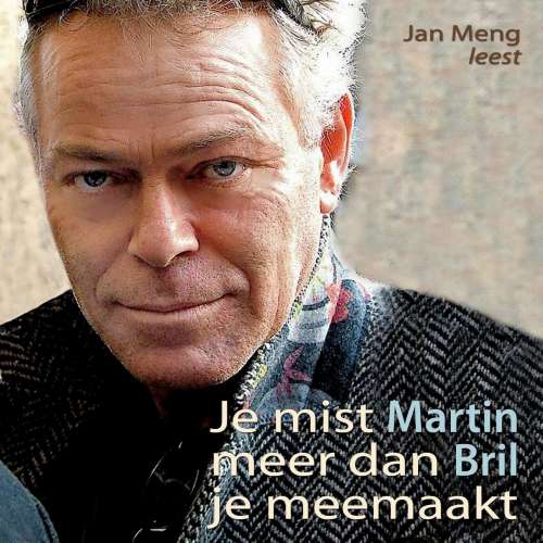 Cover von Martin Bril - Je mist meer dan je meemaakt