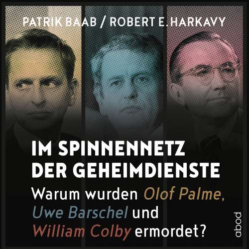 Cover von Patrik Baab - Im Spinnennetz der Geheimdienste - Warum wurden Olof Palme, Uwe Barschel und William Colby ermordet?